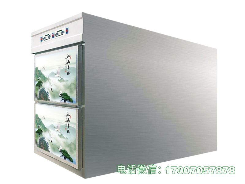海门二门一体冷冻柜